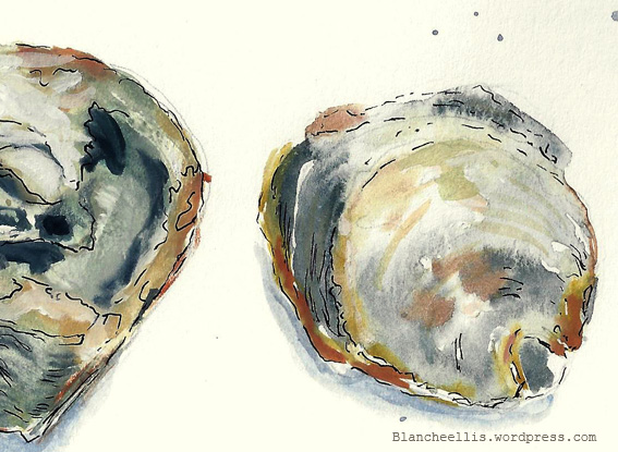 Oysters in Bloom (detail)  '13