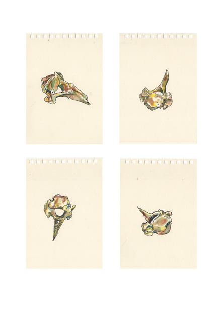 'Sheepes Bones 1 - 4'