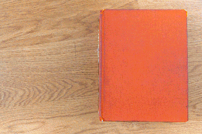 Blanche-India-Sketchbook---FAST---0.2- 20%