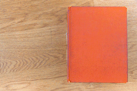 Blanche-India-Sketchbook---FAST---0.2- 20%